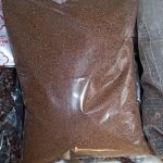 jual biji kayu putih