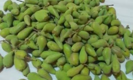 jual biji api api