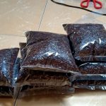 jual biji johar