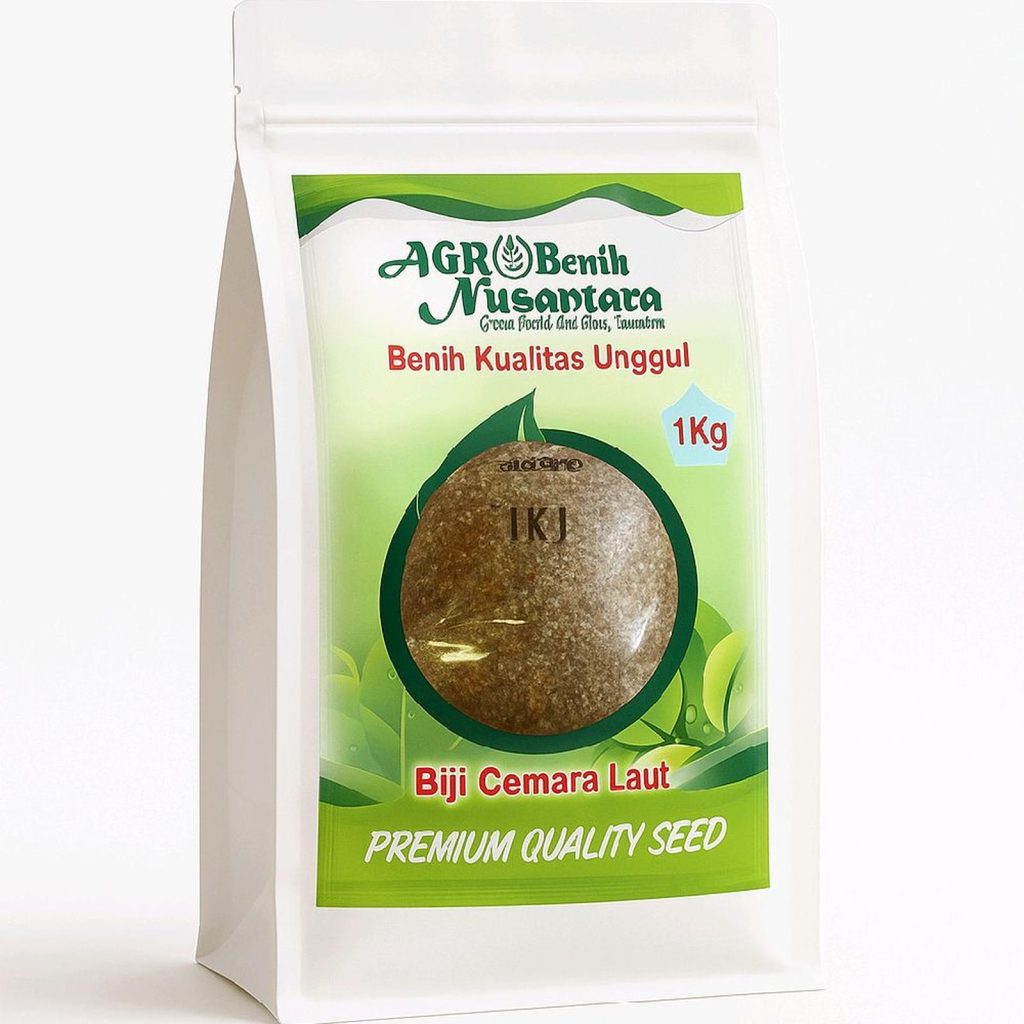 jual biji cemara laut